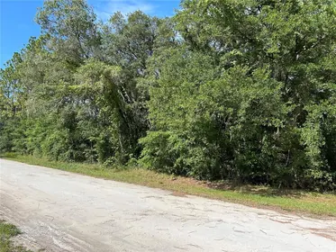 MORRISTON FL Property