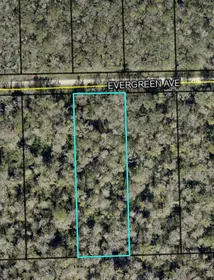 BUNNELL FL Property