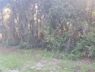 DELTONA FL Property
