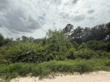 INTERLACHEN FL Property