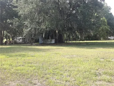 DOVER FL Property
