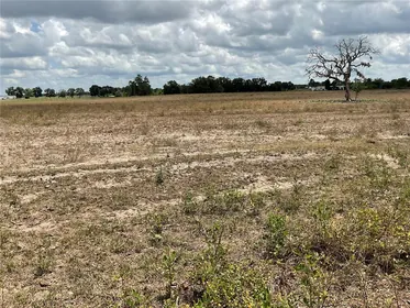 BRONSON FL Property