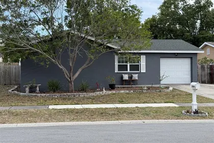 PALM HARBOR FL Home