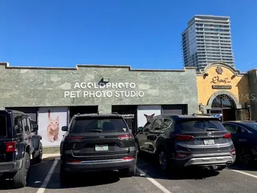 TAMPA FL Rental