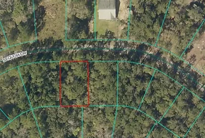OCKLAWAHA FL Property