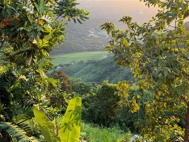 CIDRA PR Property