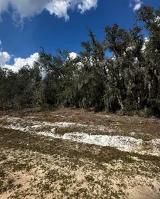 LAKE WALES FL Property