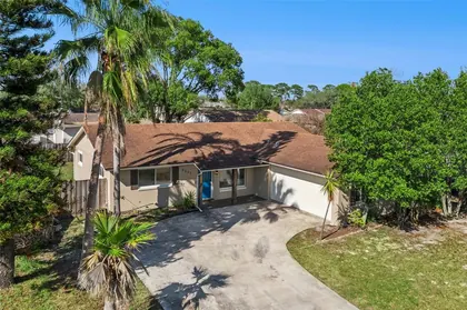 APOPKA FL Home