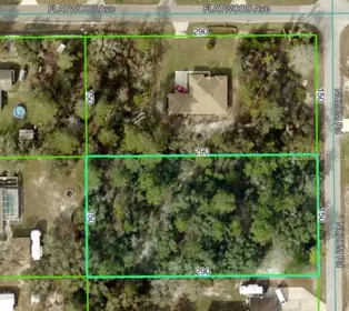 WEEKI WACHEE FL Property