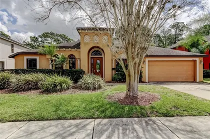LAND O LAKES FL Home