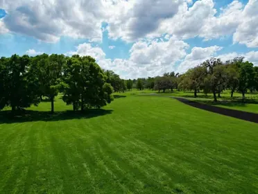 BELLEVIEW FL Property