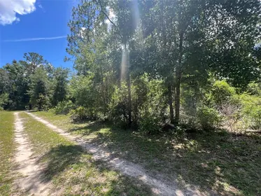 OLD TOWN FL Property