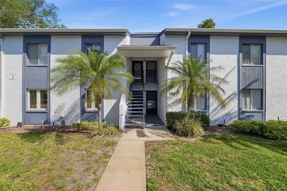 OLDSMAR FL Home