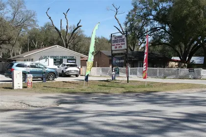 SALT SPRINGS FL Property