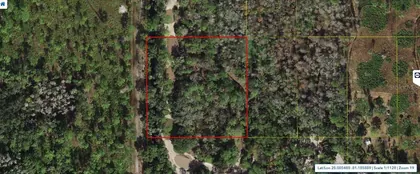 ST CLOUD FL Property