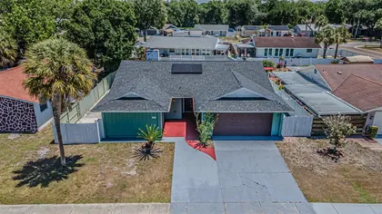 TAMPA FL Home