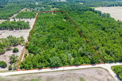 BELL FL Property
