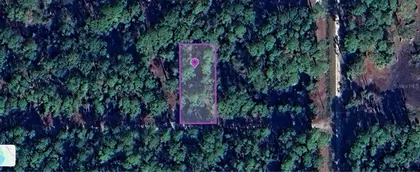 GEORGETOWN FL Property
