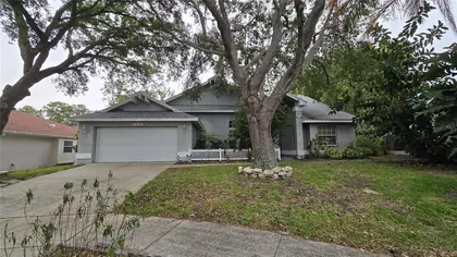 TARPON SPRINGS FL Home