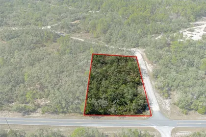 WEBSTER FL Property