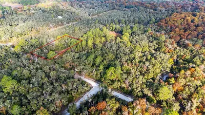 WEBSTER FL Property