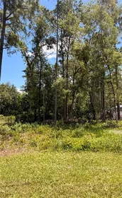 WEBSTER FL Property
