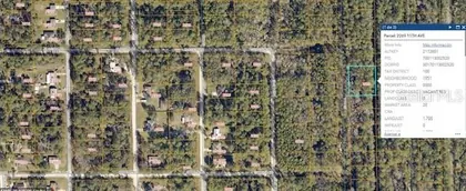 DELAND FL Property
