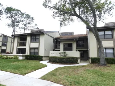OLDSMAR FL Home