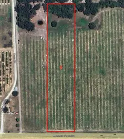 LAKE WALES FL Property