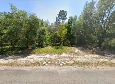 OCKLAWAHA FL Property