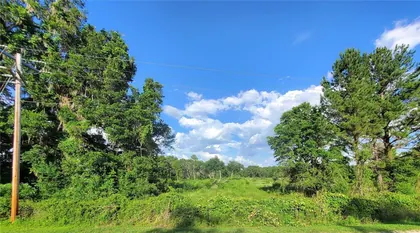 REDDICK FL Property