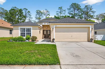 ZEPHYRHILLS FL Home