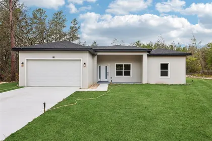 OCKLAWAHA FL Home