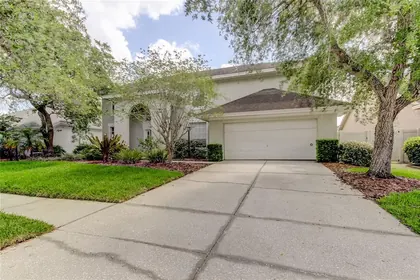 TAMPA FL Home