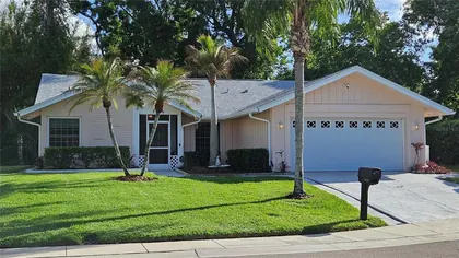 PALM HARBOR FL Home