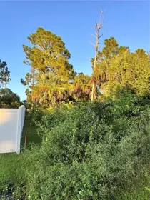 NORTH PORT FL Property