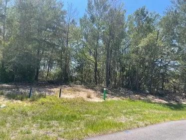 POINCIANA FL Property