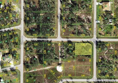 PUNTA GORDA FL Property
