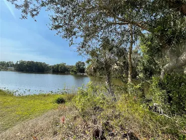 PUNTA GORDA FL Property