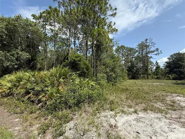 PALATKA FL Property