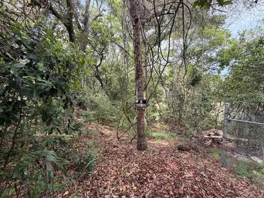 ORLANDO FL Property