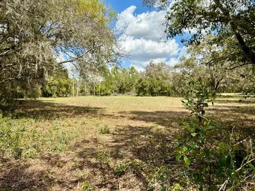 DADE CITY FL Property