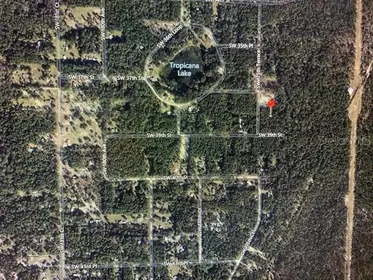 DUNNELLON FL Property