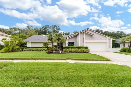 CLEARWATER FL Home