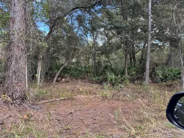 DELAND FL Property