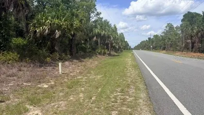 CRYSTAL RIVER FL Property