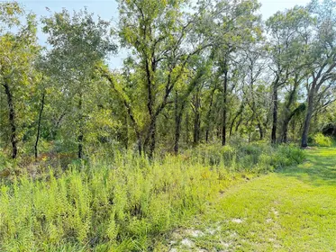 WEEKI WACHEE FL Property