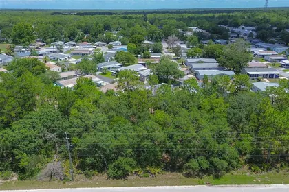 HOMOSASSA FL Property