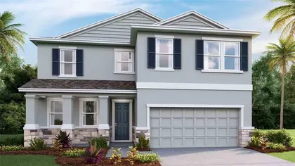WESLEY CHAPEL FL Home