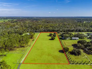 LITHIA FL Property